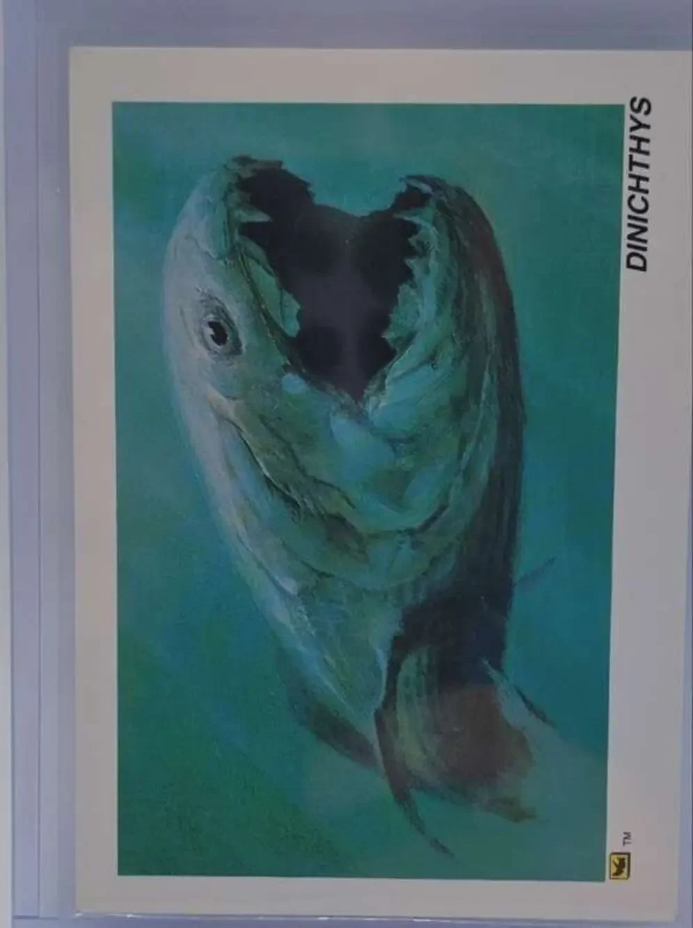 1992 DinoCardz #22 Dinichthys Card